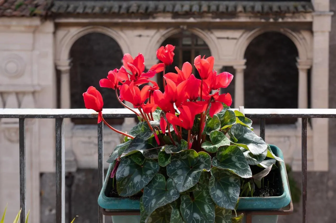 Terrazza Santa Chiara Bed & Breakfast Catania